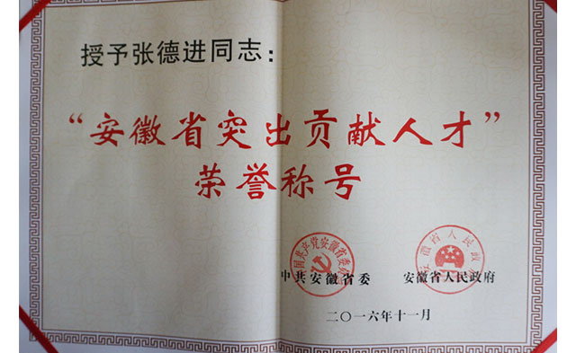 张德进董事长获省委省政府授予的“安徽省突出贡献人才”荣誉称号